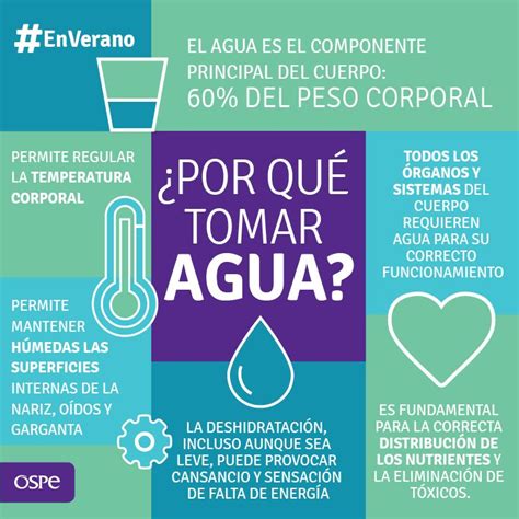 La Importancia De Tomar Agua Beneficios De Tomar Agua Consejos De