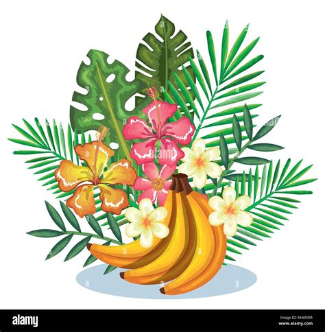 tropical garden with banana cluster vector illustration design fruits leaves and flowers