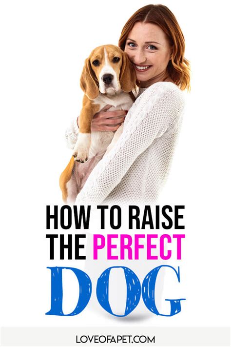 How To Raise The Perfect Dog Everything You Need To Know Love Of A Pet