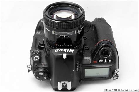 Review Of The Old Nikon D2h Happy