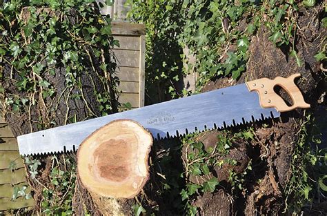 Best Saw For Cutting Tree Branches 8 Efficient Tools