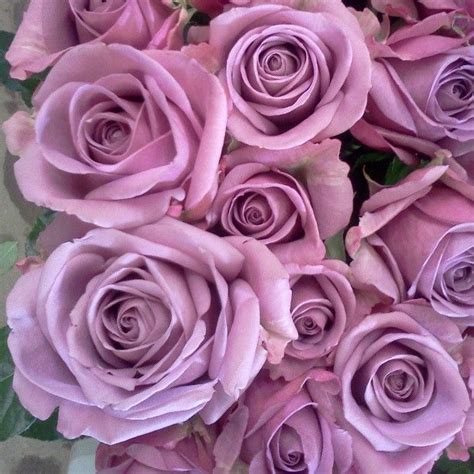 This delicate little blue beauty is the sweetest gesture of love, as it generally has to be picked from the. Lavender roses mean Enchantment, Majesty, Love at first ...