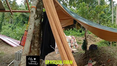 Bahay Kubo4th Day Paggawa Ng Kubo Sa Farm Youtube