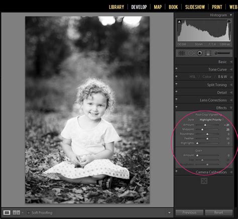 The noise is easily eliminated using the noise reduction settings in lightroom. Lightroom Black and White 3 | Lightroom editing, Photoshop ...