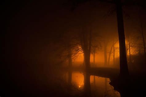 Foggy Night In Park Photo By Photographer Michael Sulka Photography