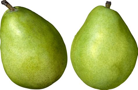 Green Pears Png Image Transparent Image Download Size 1986x1294px