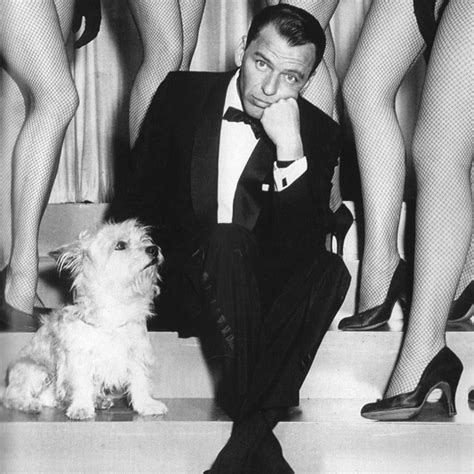 Frank Sinatra And His Dog Old Hollywood Hollywood Glamour Classic