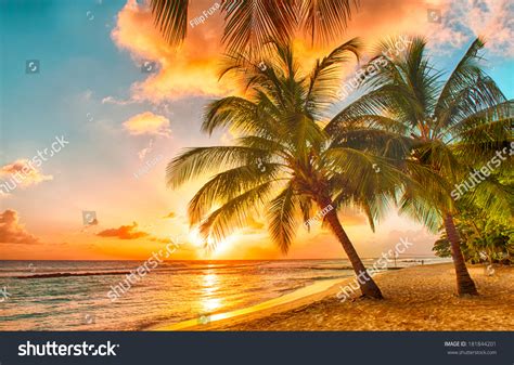 Beautiful Sunset Over Sea View Palms Stock Photo 181844201