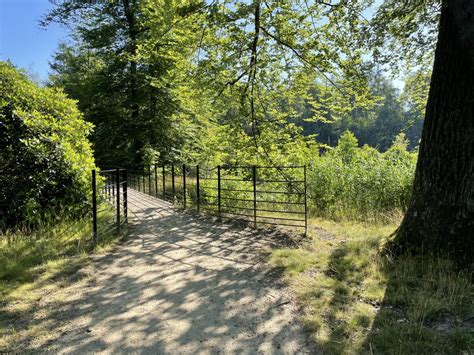 Wandelroute Vlonderpad Twickel Plankenpad Wandeling Delden Overijssel