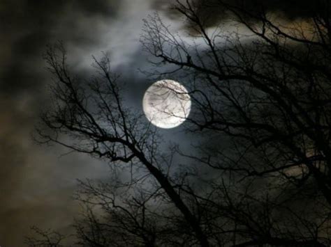 The next full moon will occur on wednesday, may 26, 2021, at 7:14 am et, and is known as the flower moon. Blue moon to rise in the skies today, does it have a ...