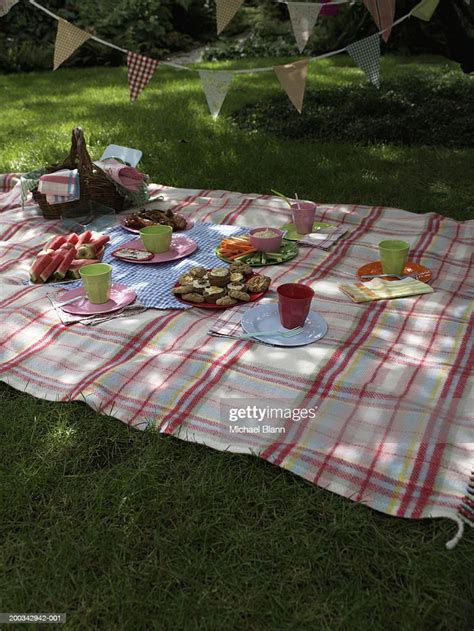 Buffet Food Laid Out On Picnic Blanket Outdoors High Res Stock Photo