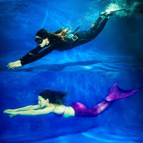 Two Women In Wetsuits Are Swimming Under The Blue Water With Their Backs Turned To The Camera