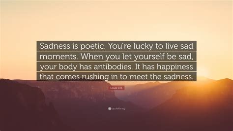 Louis Ck Quote Sadness Is Poetic Youre Lucky To Live Sad Moments