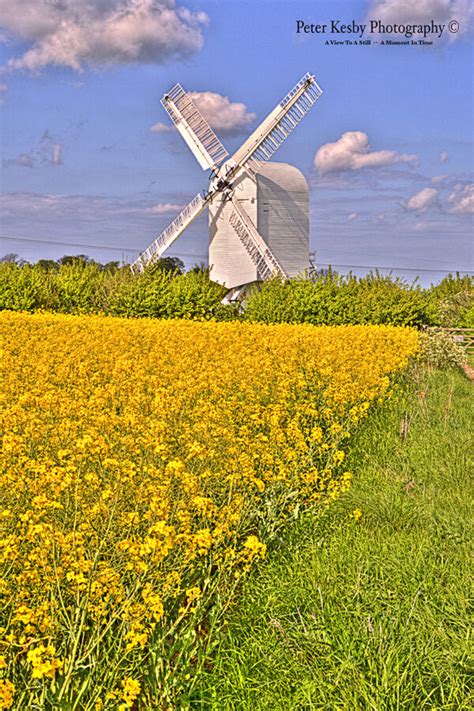 Chillenden Windmill Rapeseed Peter Kesby Photography