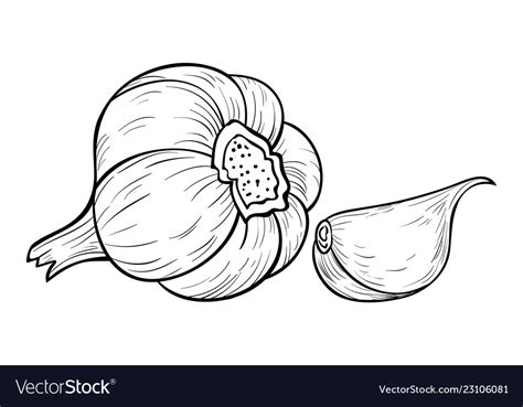 Night bar drawing bartender icon colored cartoon. Adult coloring bookpage a cartoon garlic image Vector Image