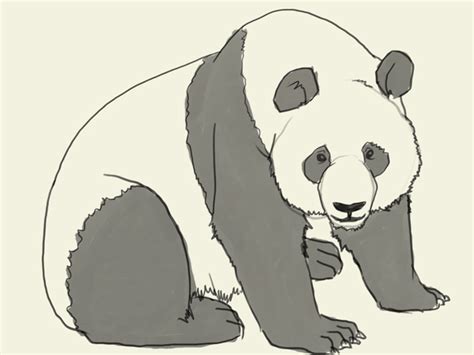 Easy Drawing Of Panda At Getdrawings Free Download
