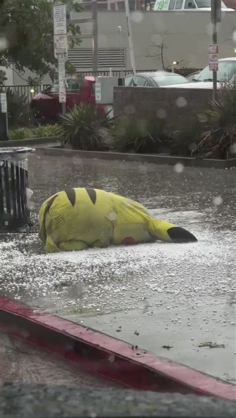 The Memes Archive On Twitter Giant Pikachu Laying Face Down In The