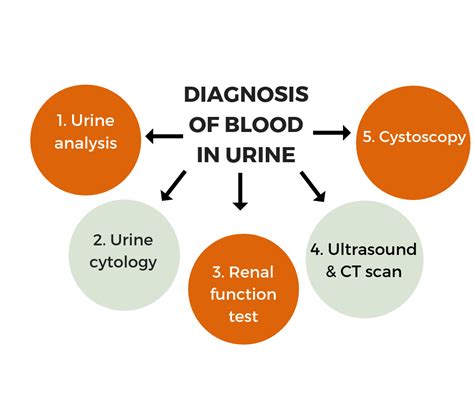 Blood In Urine Reasons Why It Could Happen Sitaram Bhartia Blog