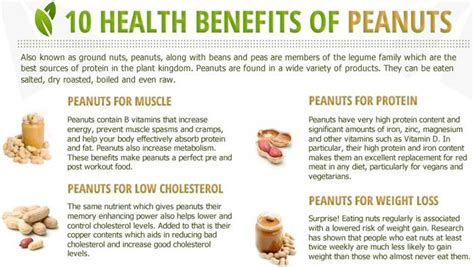 Its action aimes primarily at normalizing hormonal levels. Health Benefits Of Peanuts - Indiatimes.com