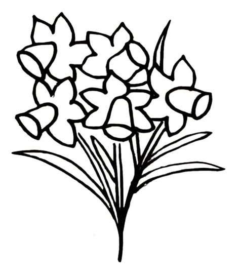 Growing a flower garden is a beautiful way to spend time with your little one. Growing Daffodil Coloring Page : Kids Play Color | Spring ...