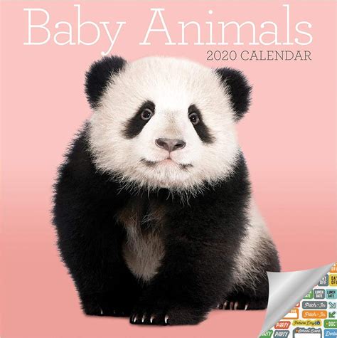 Baby Animals Calendar 2020 Set Deluxe 2020 Baby Animals