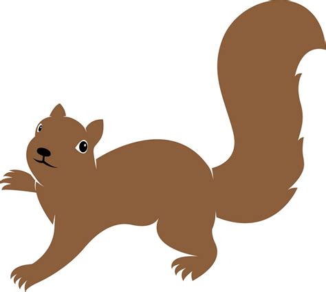 Realistic Squirrel Clipart World