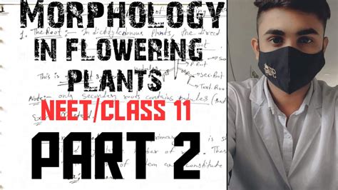 Morphology Of Flowering Plantspart 2neetclass 11most Expected Mcq