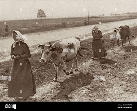 World War 1 In Eastern Europe Refugee Women From Warsaw Their Homes