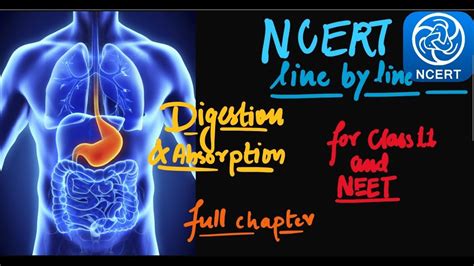 Digestion And Absorption NCERT Line By Line REVISION SERIES CLASS
