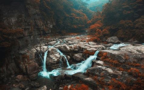 Forest Fall Landscape Nature Taiwan Shrubs Mist River Trees