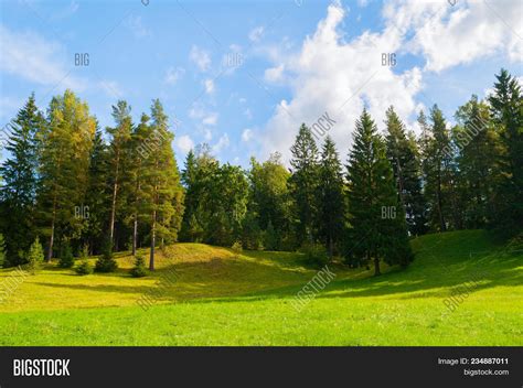 Forest Spring Image And Photo Free Trial Bigstock