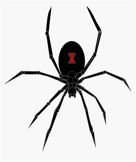 Black Widow Spider Png Clipart Black Widow Spider Icon Transparent