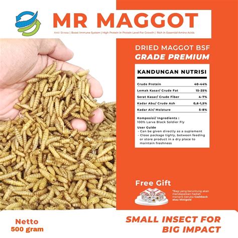 Jual MR MAGGOT Maggot Premium Maggot Kering BSF Dry Maggot 500gram