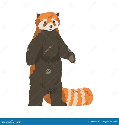 Cute Standing Red Panda Wild Animal Cartoon Vector Illustration Stock