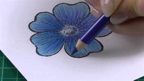 Easy Colored Pencil Drawings Of Flowers Joanamtfjoana