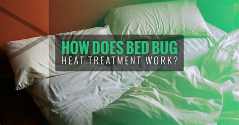 The Pros And Cons Of Using Heating Blocks To Kill Bed Bugs Bedbugs