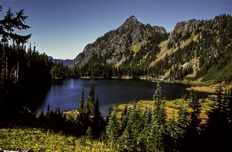 Washingtons Olympic Peninsula Is The Large Area Of Land In Western