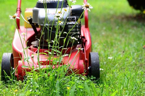 Jun 30, 2020 · what milorganite is not, however, is a weed killer. Does Mowing Grass Kill Weeds? - Care for Your Lawn