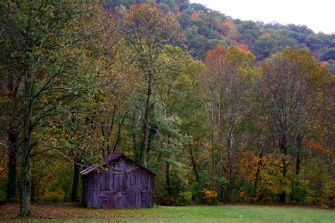 Fall Country Creek Barn | Forest Foliage Autumn Fall Nature Pictures