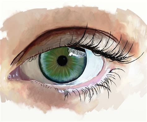 Watercolor Eye Painting Tutorial Eyes Anime Eye Draw Drawing Tutorial