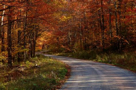 Free Download Country Road In The Fall Wallpaper Wallpapers Desktop