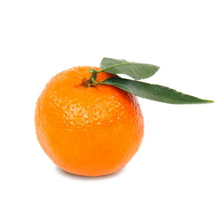 Branded Tangerine (100-Pack) - Branded Fruit