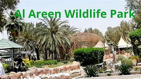 Al Areen Wildlife Parktop Place To Visit In Bahrainthe Biggest Zoo