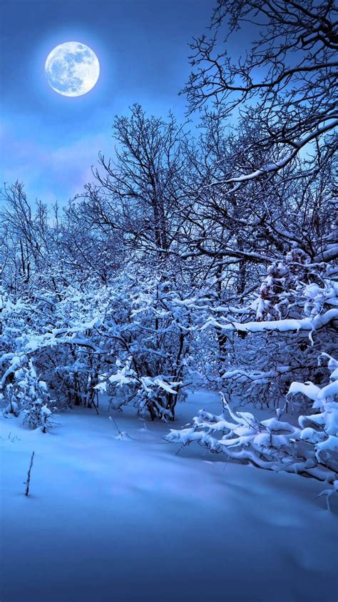 Winter Backgrounds For Iphone Hd Winter Scenery