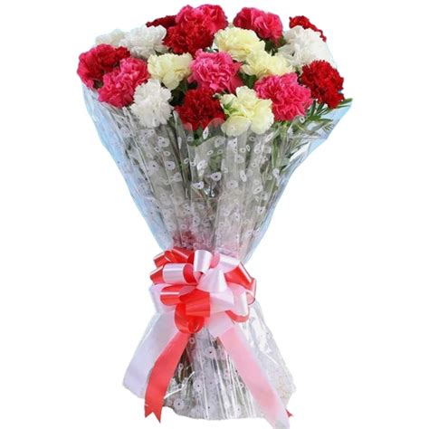 Carnations To India Carnation Delivery In India Same Day Free