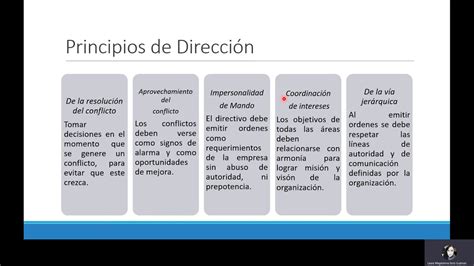 Principios De Dirección Youtube