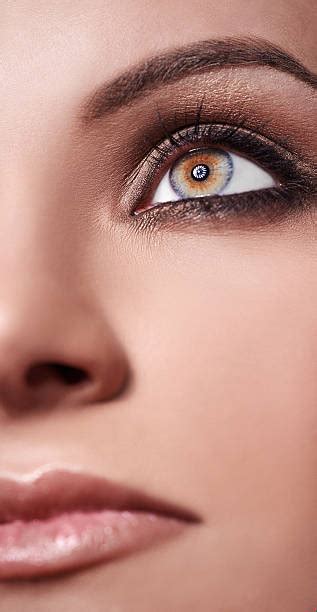 Hazel Eyes Pictures Images And Stock Photos Istock