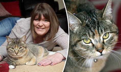 Learn more about cat scans today. 'My cat diagnosed my BREAST CANCER before I even found a ...