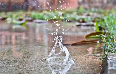 Hit The Ground Stock Image Image Of Water Rainy Drop