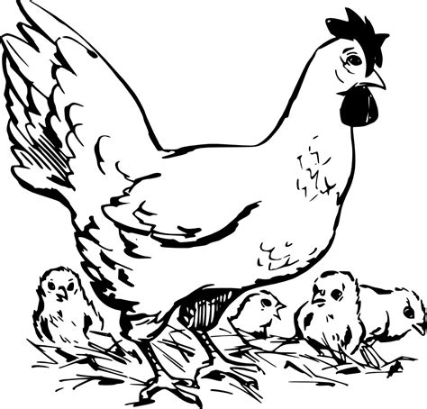 Maybe you would like to learn more about one of these? OnlineLabels Clip Art - Hen And Chickens